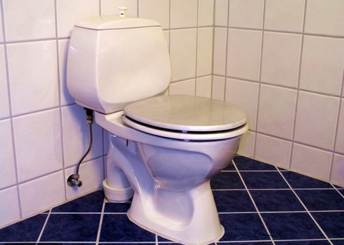 ��� ��������� ��������� ������